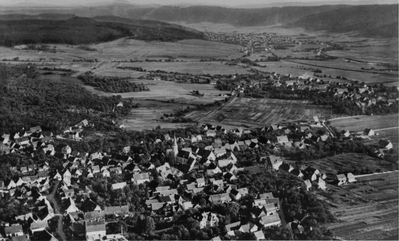Urbach1950